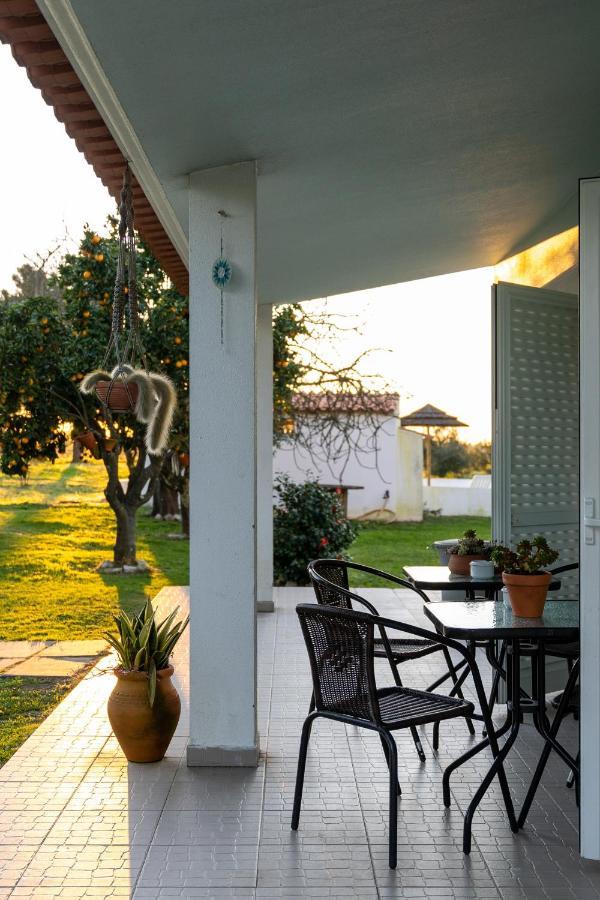 Na Quinta- Alojamento Rural Com Piscina De Agua Salgada Poceirao Luaran gambar