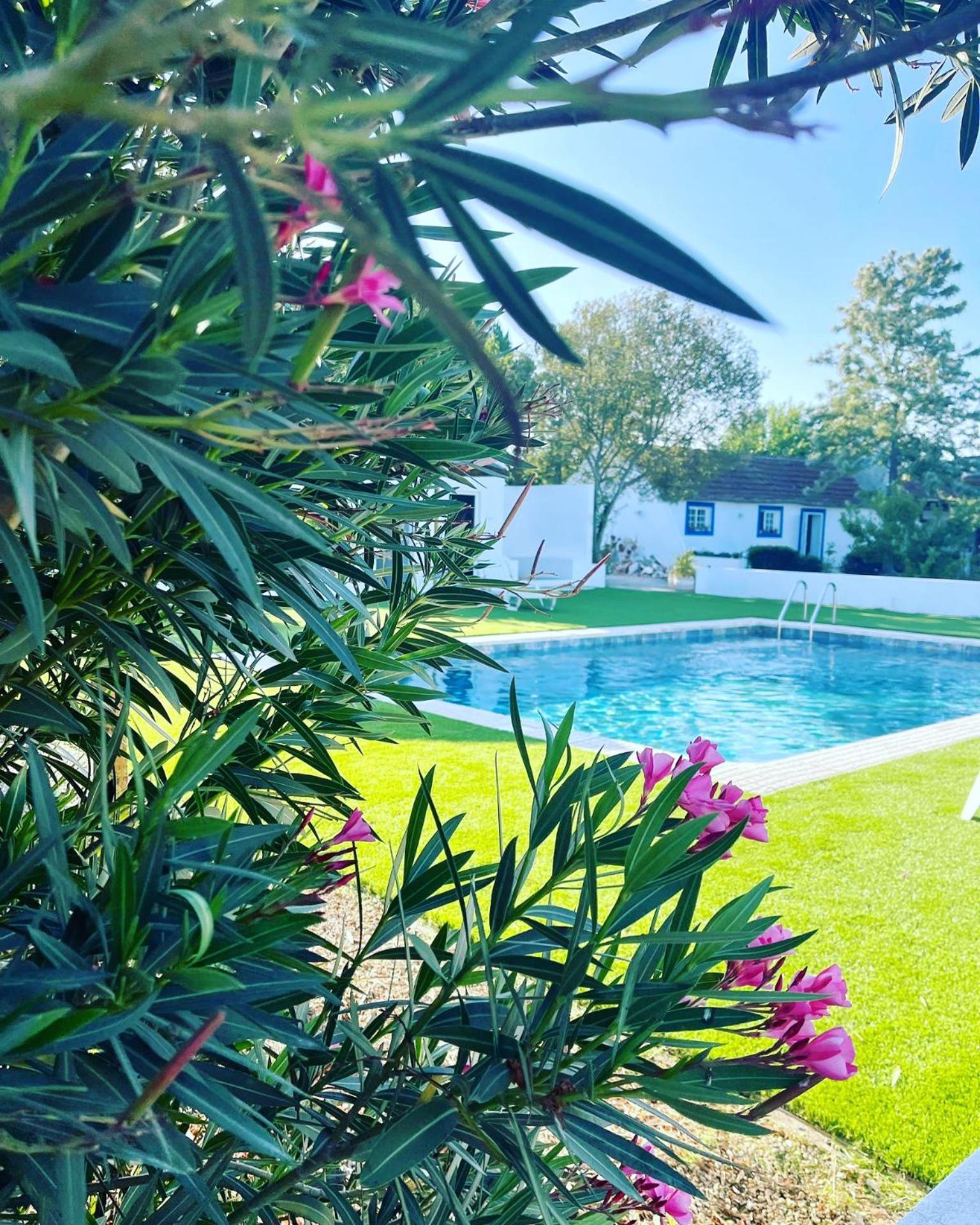 Na Quinta- Alojamento Rural Com Piscina De Agua Salgada Poceirao Luaran gambar