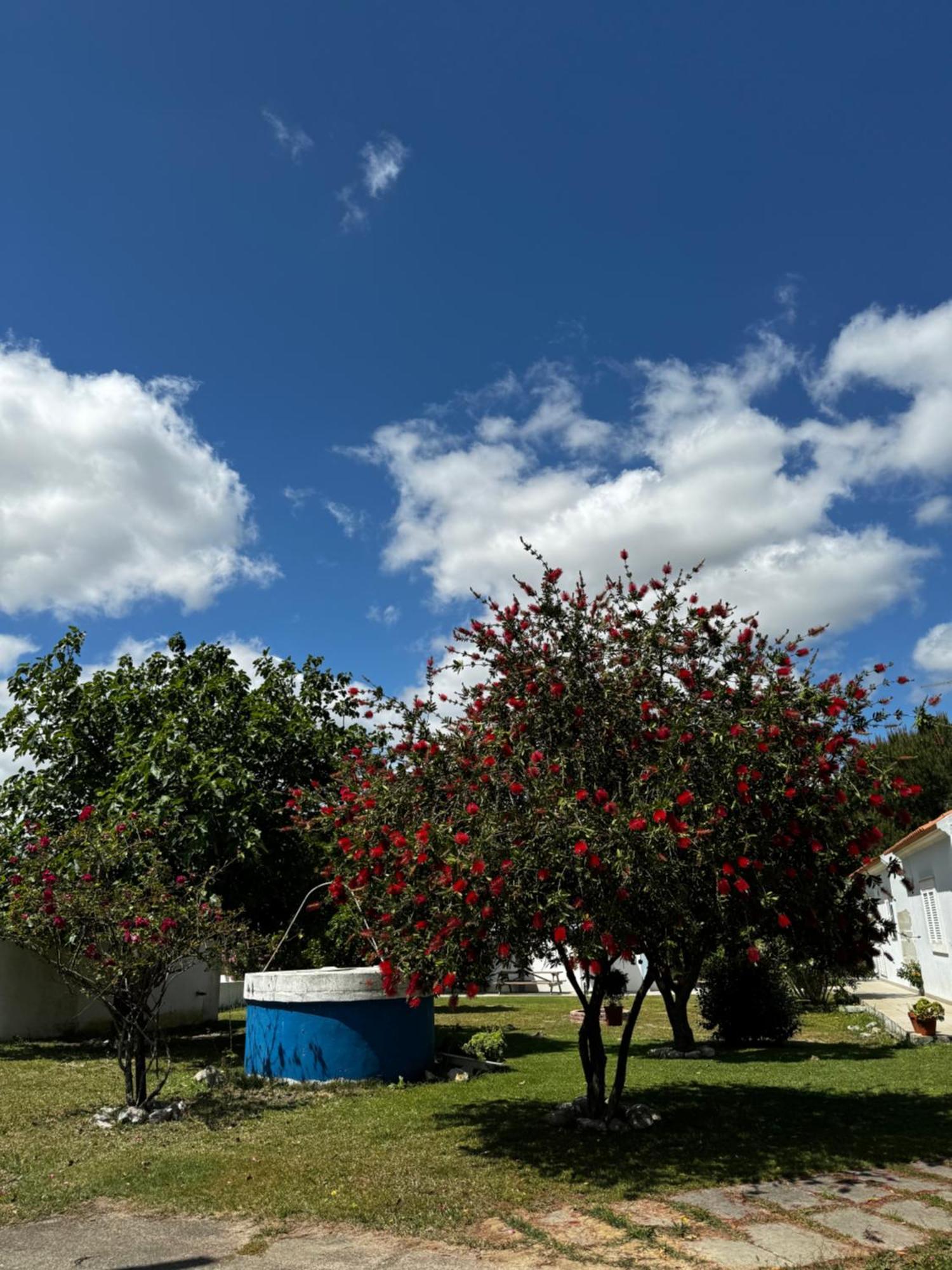 Na Quinta- Alojamento Rural Com Piscina De Agua Salgada Poceirao Luaran gambar