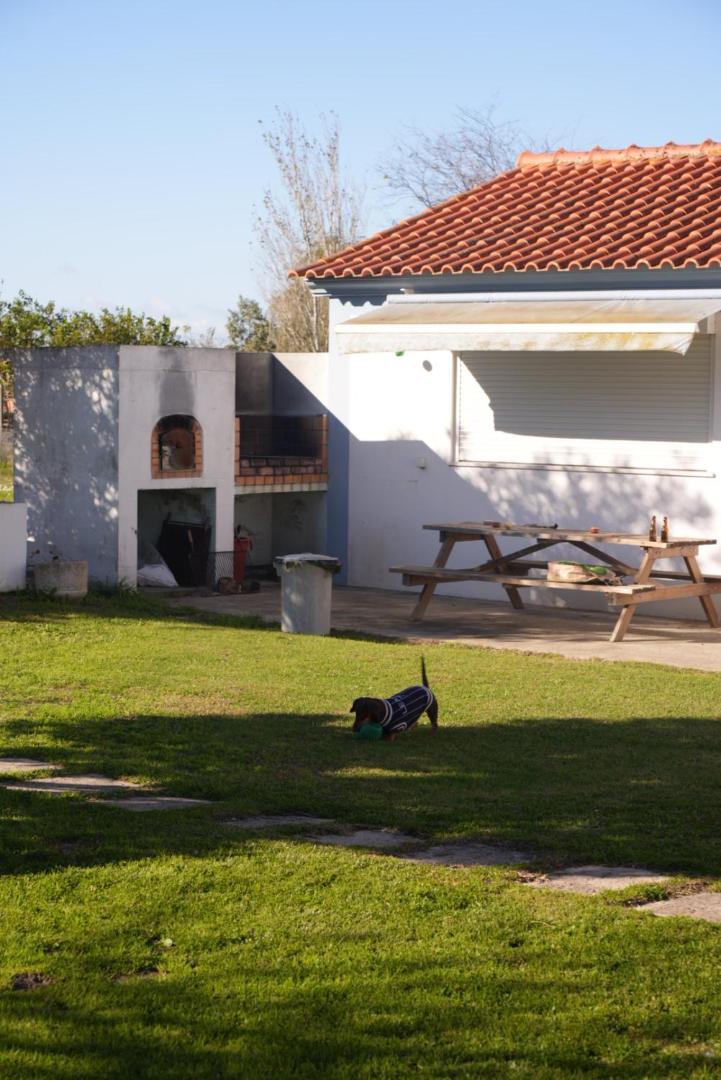 Na Quinta- Alojamento Rural Com Piscina De Agua Salgada Poceirao Luaran gambar